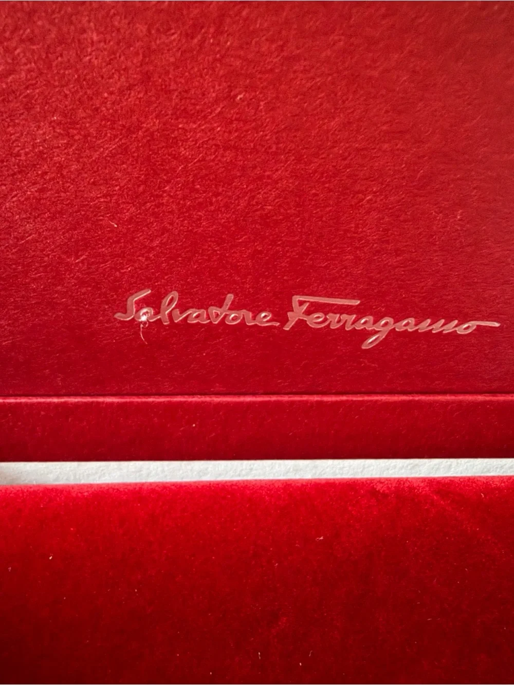 Salvatore Ferragamo Red Box with a Suede cloth branded